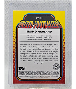 Erling Haaland